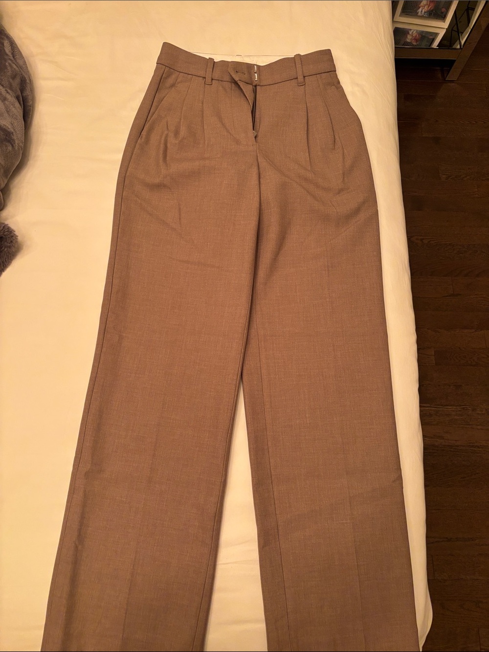 Aritzia Wide-Leg Pleated Trousers in Taupe